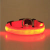 NuVora Halo Collar – USB Rechargeable LED Dog Collar