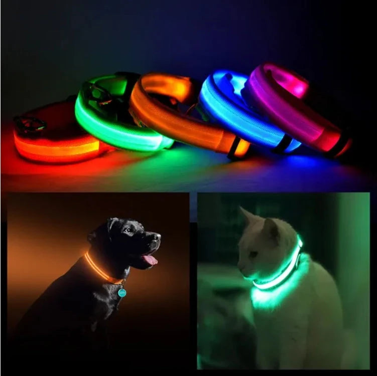 NuVora Halo Collar – USB Rechargeable LED Dog Collar