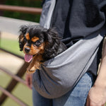 Lof grey mesh pet sling carrier for small dogs and cats