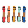 Lof everyday dog collar with quick-release buckle