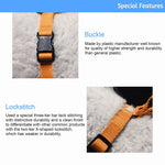 Lof everyday dog collar with quick-release buckle