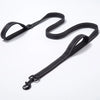 NuVora Reflective Dog Leash