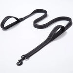 NuVora Reflective Dog Leash