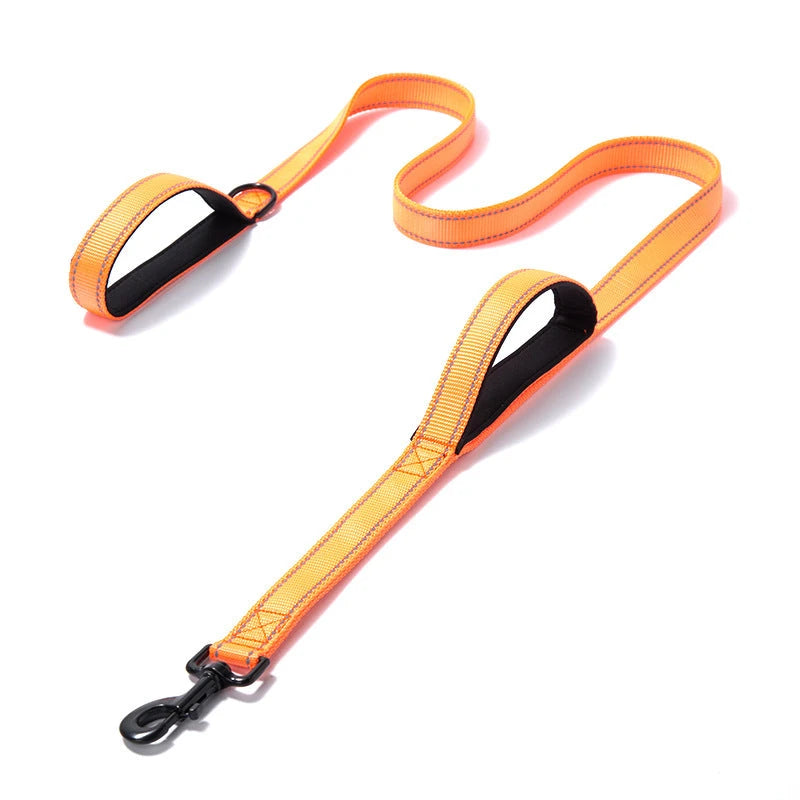 NuVora Reflective Dog Leash