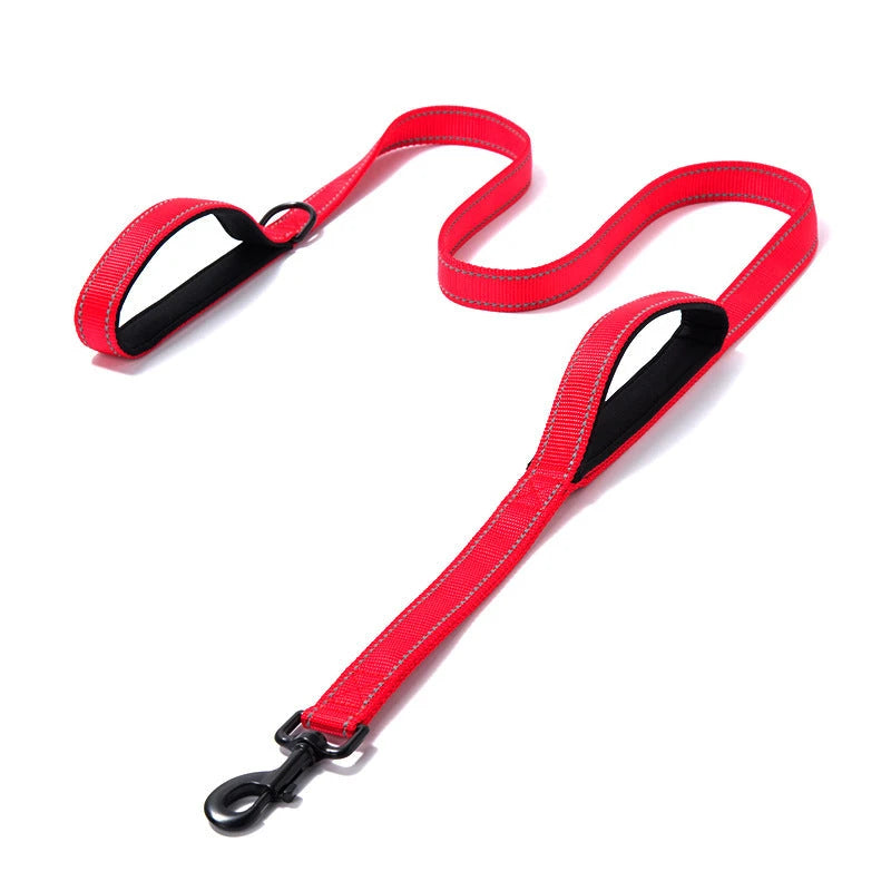 NuVora Reflective Dog Leash