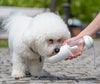 NuVora Travel Water Bottle for Pets