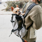 Adventure Backpack by Amelia Nest – Pet Travel Carrier