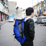 Adventure Backpack by Amelia Nest – Pet Travel Carrier
