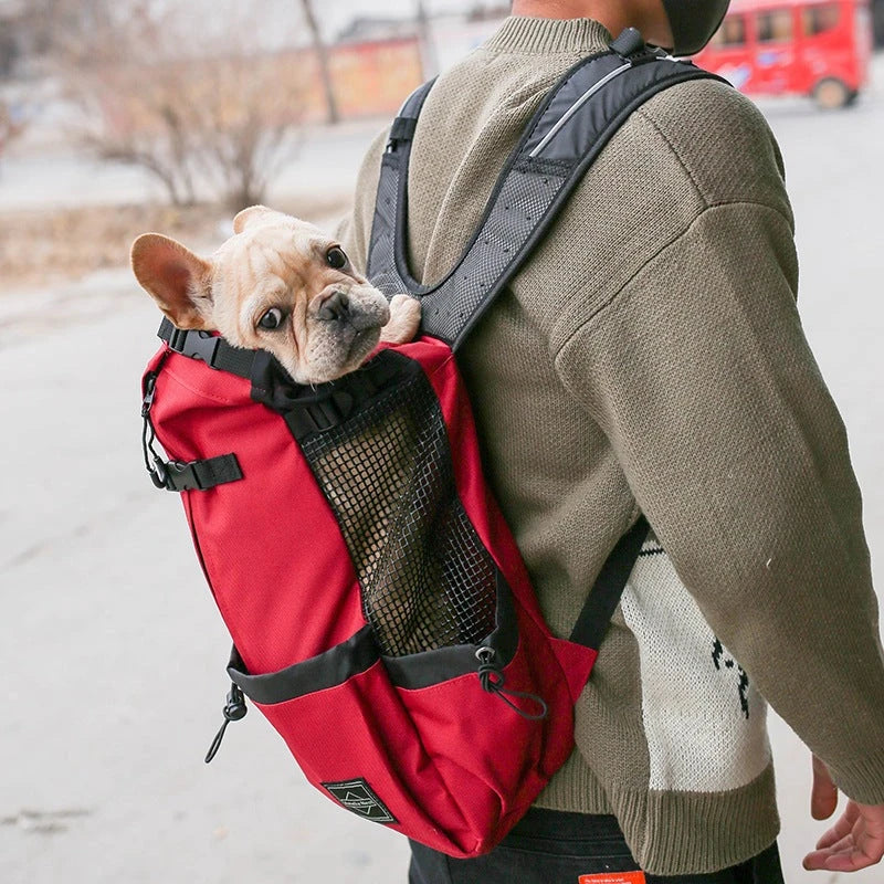 Adventure Backpack by Amelia Nest – Pet Travel Carrier