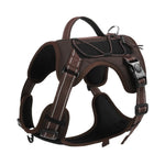 NuVora Everyday Dog Harness – Padded & Adjustable with Back Handle