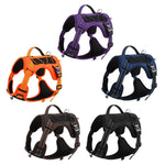 NuVora Everyday Dog Harness – Padded & Adjustable with Back Handle