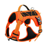 NuVora Everyday Dog Harness – Padded & Adjustable with Back Handle