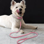 NuVora Sparkle Collar & Leash Set – Rhinestone Collar for Small Dogs