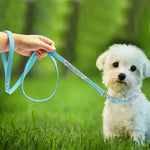 NuVora Sparkle Collar & Leash Set – Rhinestone Collar for Small Dogs