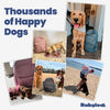 The Original Doggy Bag® by Rubyloo – Dog Travel Backpack & Supply Set
