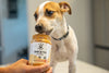 Dawg Butter by Paw Power – Pum'kin Puppers Peanut Butter for Dogs