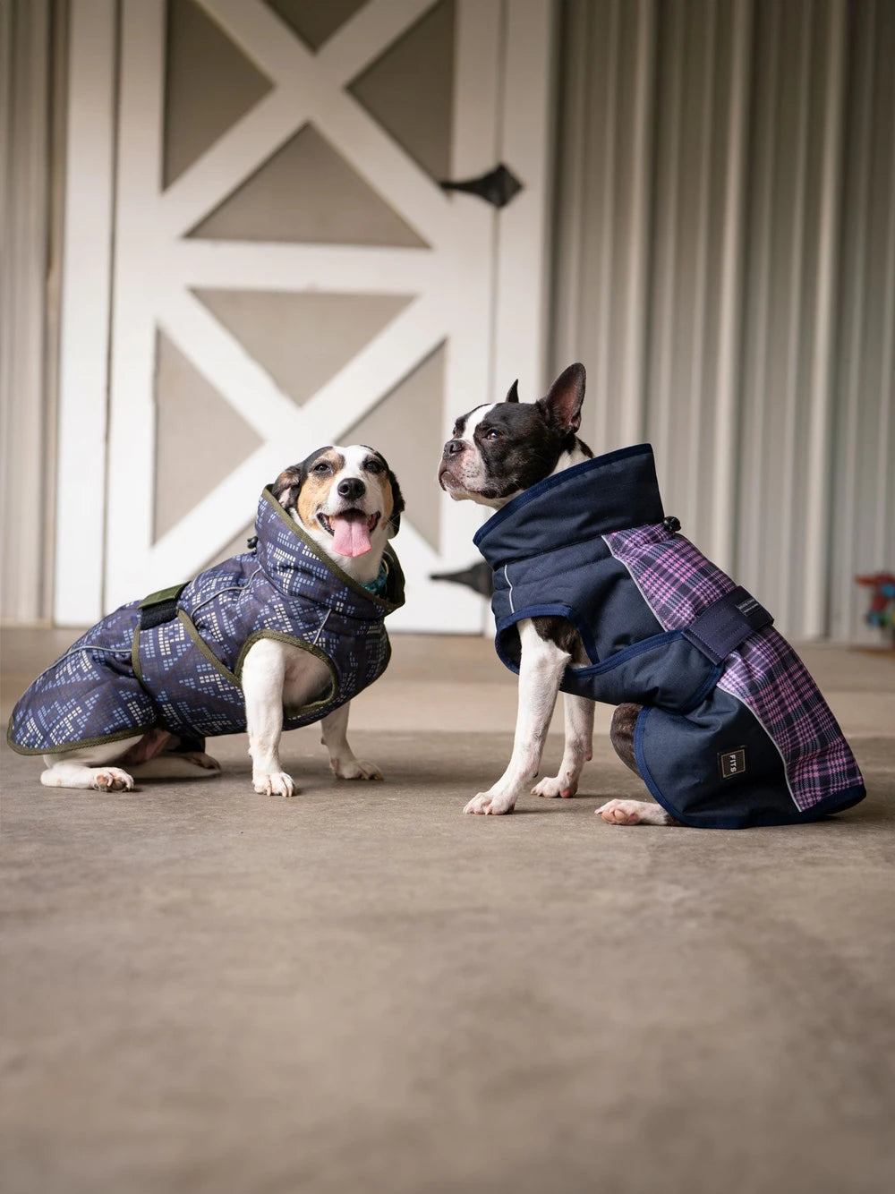 All Weather Dog Coat by FITS – Waterproof, Insulated & Reflective