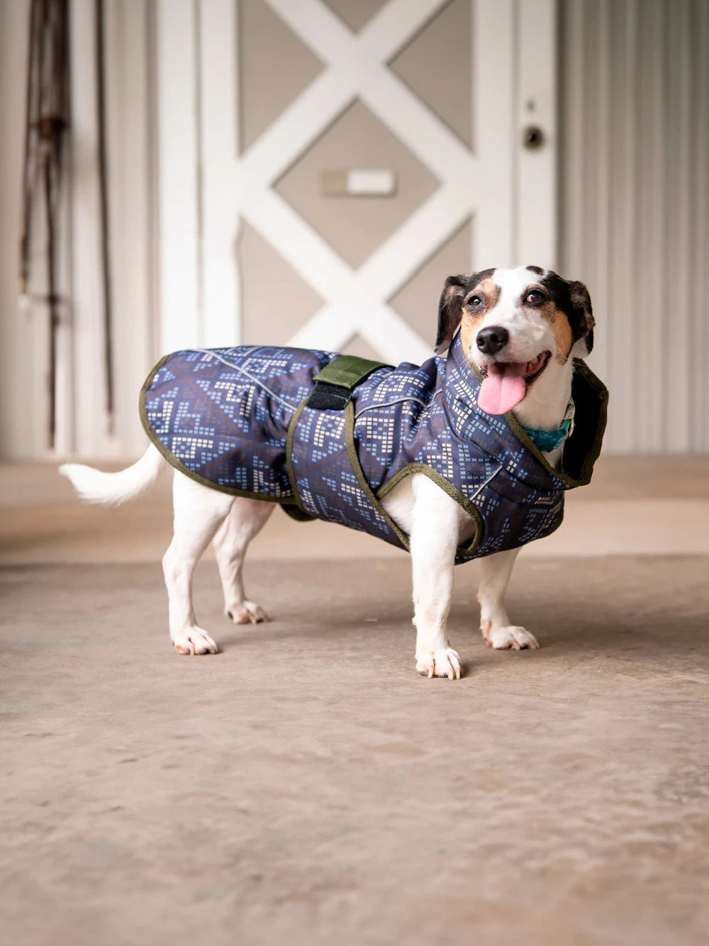 All Weather Dog Coat by FITS – Waterproof, Insulated & Reflective