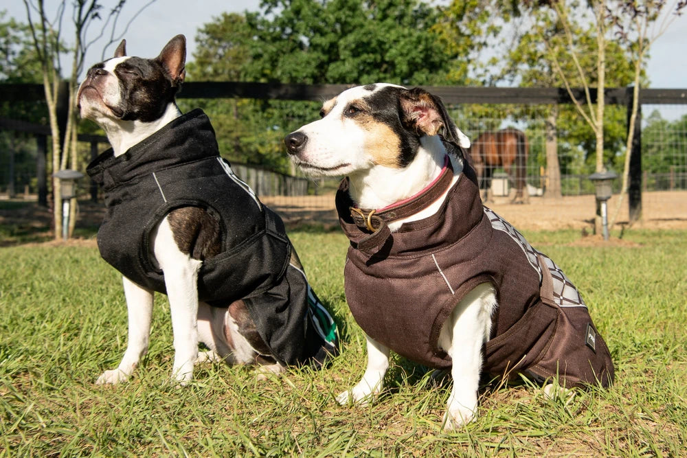 All Weather Dog Coat by FITS – Waterproof, Insulated & Reflective