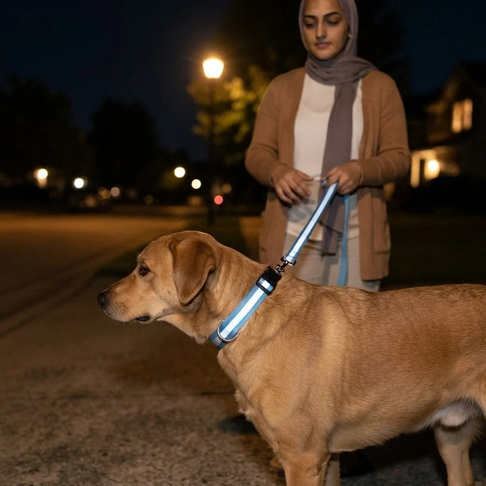NuVora Halo Collar – USB Rechargeable LED Dog Collar