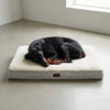 NuVora orthopedic dog bed with soft faux fur and non-slip base