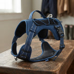 NuVora Everyday Dog Harness – Padded & Adjustable with Back Handle