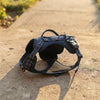 NuVora Everyday Dog Harness – Padded & Adjustable with Back Handle
