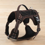 NuVora Everyday Dog Harness – Padded & Adjustable with Back Handle